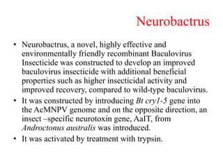Neurobactrus
• Neurobactrus, a novel, highly effective and
environmentally friendly recombinant Baculovirus
Insecticide was constructed to develop an improved
baculovirus insecticide with additional beneficial
properties such as higher insecticidal activity and
improved recovery, compared to wild-type baculovirus.
• It was constructed by introducing Bt cry1-5 gene into
the AcMNPV genome and on the opposite direction, an
insect –specific neurotoxin gene, AaIT, from
Androctonus australis was introduced.
• It was activated by treatment with trypsin.
 
