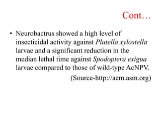 Cont…
• Neurobactrus showed a high level of
insecticidal activity against Plutella xylostella
larvae and a significant reduction in the
median lethal time against Spodoptera exigua
larvae compared to those of wild-type AcNPV.
(Source-http://aem.asm.org)
 