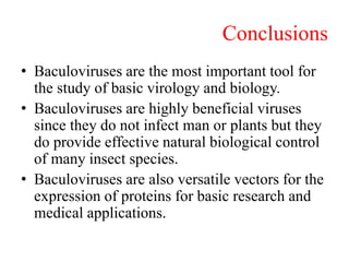 Conclusions
• Baculoviruses are the most important tool for
the study of basic virology and biology.
• Baculoviruses are highly beneficial viruses
since they do not infect man or plants but they
do provide effective natural biological control
of many insect species.
• Baculoviruses are also versatile vectors for the
expression of proteins for basic research and
medical applications.
 