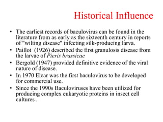 Historical Influence
• The earliest records of baculovirus can be found in the
literature from as early as the sixteenth century in reports
of "wilting disease" infecting silk-producing larva.
• Paillot (1926) described the first granulosis disease from
the larvae of Pieris brassicae
• Bergold (1947) provided definitive evidence of the viral
nature of disease.
• In 1970 Elcar was the first baculovirus to be developed
for commercial use.
• Since the 1990s Baculoviruses have been utilized for
producing complex eukaryotic proteins in insect cell
cultures .
 