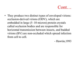 Cont…
• They produce two distinct types of enveloped virions:
occlusion-derived virions (ODV), which are
embedded in large (5–10 micron) protein crystals
called occlusion bodies and are responsible for
horizontal transmission between insects, and budded
virions (BV) are non-occluded which spread infection
from cell to cell.
- Hawtin,1993
 