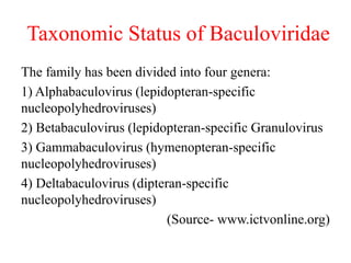 Taxonomic Status of Baculoviridae
The family has been divided into four genera:
1) Alphabaculovirus (lepidopteran-specific
nucleopolyhedroviruses)
2) Betabaculovirus (lepidopteran-specific Granulovirus
3) Gammabaculovirus (hymenopteran-specific
nucleopolyhedroviruses)
4) Deltabaculovirus (dipteran-specific
nucleopolyhedroviruses)
(Source- www.ictvonline.org)
 