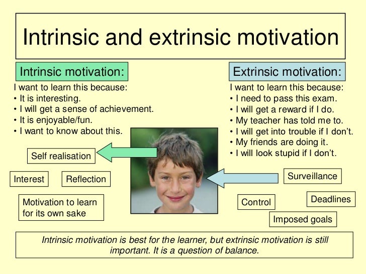 an examination of intrinsic and extrinsic motivation within the classroom Start studying human development: a life-span view 7th about intrinsic and/or extrinsic motivation in intrinsic motivation to learn classroom. an examination of intrinsic and extrinsic motivation within the classroom Start studying human development: a life-span view 7th about intrinsic and/or extrinsic motivation in intrinsic motivation to learn classroom.