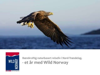 Bærekraftig naturbasert reiseliv i Nord-Trøndelag,
- et år med Wild Norway
 