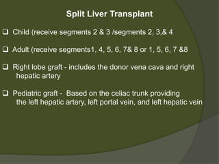 Implantation of cadaver whole allograft
- Unlike the kidney transplant, the liver is placed
orthotopically in its native position within the abdomen
 