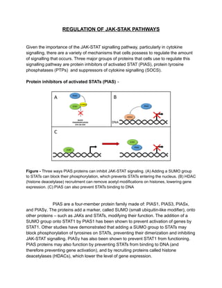 REGULATION OF JAK-STAK PATHWAYS
Given the importance of the JAK-STAT signalling pathway, particularly in cytokine
signalling, there are a variety of mechanisms that cells possess to regulate the amount
of signalling that occurs. Three major groups of proteins that cells use to regulate this
signalling pathway are protein inhibitors of activated STAT (PIAS), protein tyrosine
phosphatases (PTPs) and suppressors of cytokine signalling (SOCS).
Protein inhibitors of activated STATs (PIAS) -
Figure - Three ways PIAS proteins can inhibit JAK-STAT signaling. (A) Adding a SUMO group
to STATs can block their phosphorylation, which prevents STATs entering the nucleus. (B) HDAC
(histone deacetylase) recruitment can remove acetyl modifications on histones, lowering gene
expression. (C) PIAS can also prevent STATs binding to DNA
PIAS are a four-member protein family made of: PIAS1, PIAS3, PIASx,
and PIASγ. The proteins add a marker, called SUMO (small ubiquitin-like modifier), onto
other proteins – such as JAKs and STATs, modifying their function. The addition of a
SUMO group onto STAT1 by PIAS1 has been shown to prevent activation of genes by
STAT1. Other studies have demonstrated that adding a SUMO group to STATs may
block phosphorylation of tyrosines on STATs, preventing their dimerization and inhibiting
JAK-STAT signalling. PIASγ has also been shown to prevent STAT1 from functioning.
PIAS proteins may also function by preventing STATs from binding to DNA (and
therefore preventing gene activation), and by recruiting proteins called histone
deacetylases (HDACs), which lower the level of gene expression.
 