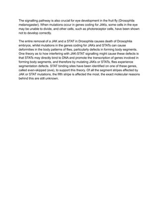 The signalling pathway is also crucial for eye development in the fruit fly (Drosophila
melanogaster). When mutations occur in genes coding for JAKs, some cells in the eye
may be unable to divide, and other cells, such as photoreceptor cells, have been shown
not to develop correctly.
The entire removal of a JAK and a STAT in Drosophila causes death of Drosophila
embryos, whilst mutations in the genes coding for JAKs and STATs can cause
deformities in the body patterns of flies, particularly defects in forming body segments.
One theory as to how interfering with JAK-STAT signalling might cause these defects is
that STATs may directly bind to DNA and promote the transcription of genes involved in
forming body segments, and therefore by mutating JAKs or STATs, flies experience
segmentation defects. STAT binding sites have been identified on one of these genes,
called even-skipped (eve), to support this theory. Of all the segment stripes affected by
JAK or STAT mutations, the fifth stripe is affected the most, the exact molecular reasons
behind this are still unknown.
 