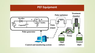 PEF Equipment
 