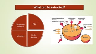 What can be extracted?
F&V
Herbs
&spices
Microbes
Oleagenous
material
 