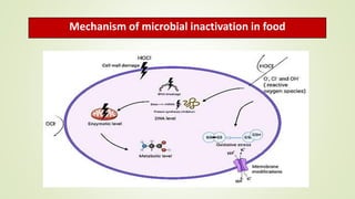 Mechanism of microbial inactivation in food
 