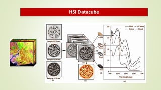 HSI Datacube
 