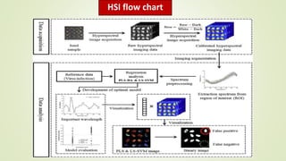 HSI flow chart
 