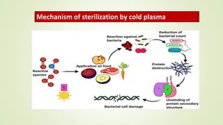 Mechanism of sterilization by cold plasma
 