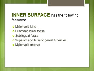 INNER SURFACE has the following
features:
 Mylohyoid Line
 Submandibular fossa
 Sublingual fossa
 Superior and Inferior genial tubercles
 Mylohyoid groove
12
 