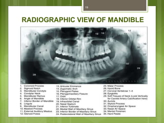 RADIOGRAPHIC VIEW OF MANDIBLE
19
 