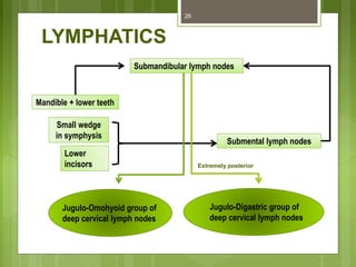 LYMPHATICS
26
Submandibular lymph nodes
Submental lymph nodes
Jugulo-Omohyoid group of
deep cervical lymph nodes
Jugulo-Digastric group of
deep cervical lymph nodes
Mandible + lower teeth
Small wedge
in symphysis
Lower
incisors Extremely posterior
 