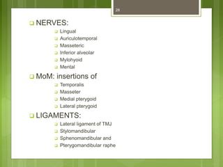  NERVES:
 Lingual
 Auriculotemporal
 Masseteric
 Inferior alveolar
 Mylohyoid
 Mental
 MoM: insertions of
 Temporalis
 Masseter
 Medial pterygoid
 Lateral pterygoid
 LIGAMENTS:
 Lateral ligament of TMJ
 Stylomandibular
 Sphenomandibular and
 Pterygomandibular raphe
28
 