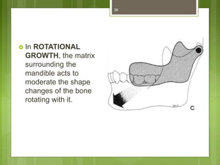  In ROTATIONAL
GROWTH, the matrix
surrounding the
mandible acts to
moderate the shape
changes of the bone
rotating with it.
36
 