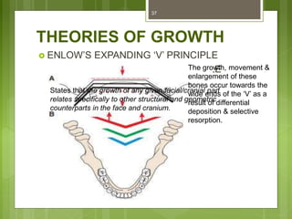 THEORIES OF GROWTH
 ENLOW’S EXPANDING ‘V’ PRINCIPLE
 ENLOW’S COUNTERPART PRINCIPLE
37
States that the growth of any given facial/cranial part
relates specifically to other structural and geometric
counterparts in the face and cranium.
The growth, movement &
enlargement of these
bones occur towards the
wide ends of the ‘V’ as a
result of differential
deposition & selective
resorption.
 