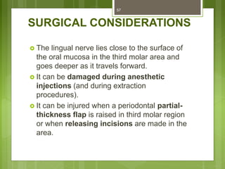 SURGICAL CONSIDERATIONS
 The lingual nerve lies close to the surface of
the oral mucosa in the third molar area and
goes deeper as it travels forward.
 It can be damaged during anesthetic
injections (and during extraction
procedures).
 It can be injured when a periodontal partial-
thickness flap is raised in third molar region
or when releasing incisions are made in the
area.
57
 