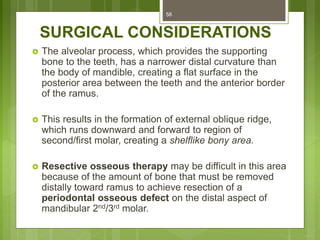 SURGICAL CONSIDERATIONS
 The alveolar process, which provides the supporting
bone to the teeth, has a narrower distal curvature than
the body of mandible, creating a flat surface in the
posterior area between the teeth and the anterior border
of the ramus.
 This results in the formation of external oblique ridge,
which runs downward and forward to region of
second/first molar, creating a shelflike bony area.
 Resective osseous therapy may be difficult in this area
because of the amount of bone that must be removed
distally toward ramus to achieve resection of a
periodontal osseous defect on the distal aspect of
mandibular 2nd/3rd molar.
58
 