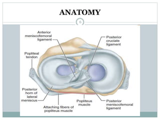 ANATOMY
6
 