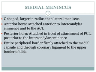 MEDIAL MENISCUS
 C shaped, larger in radius than lateral meniscus
 Anterior horn: Attached anterior to intercondylar
eminence and to the ACL
 Posterior horn: Attached in front of attachment of PCL,
posterior to the intercondylar eminence
 Entire peripheral border firmly attached to the medial
capsule and through coronary ligament to the upper
border of tibia
7
 