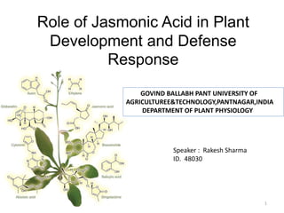 Role of Jasmonic Acid in Plant
Development and Defense
Response
1
Speaker : Rakesh Sharma
ID. 48030
GOVIND BALLABH PANT UNIVERSITY OF
AGRICULTUREE&TECHNOLOGY,PANTNAGAR,INDIA
DEPARTMENT OF PLANT PHYSIOLOGY
 