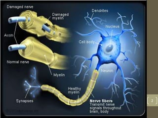 Multiple Sclerosis SEMINAR | PPTX