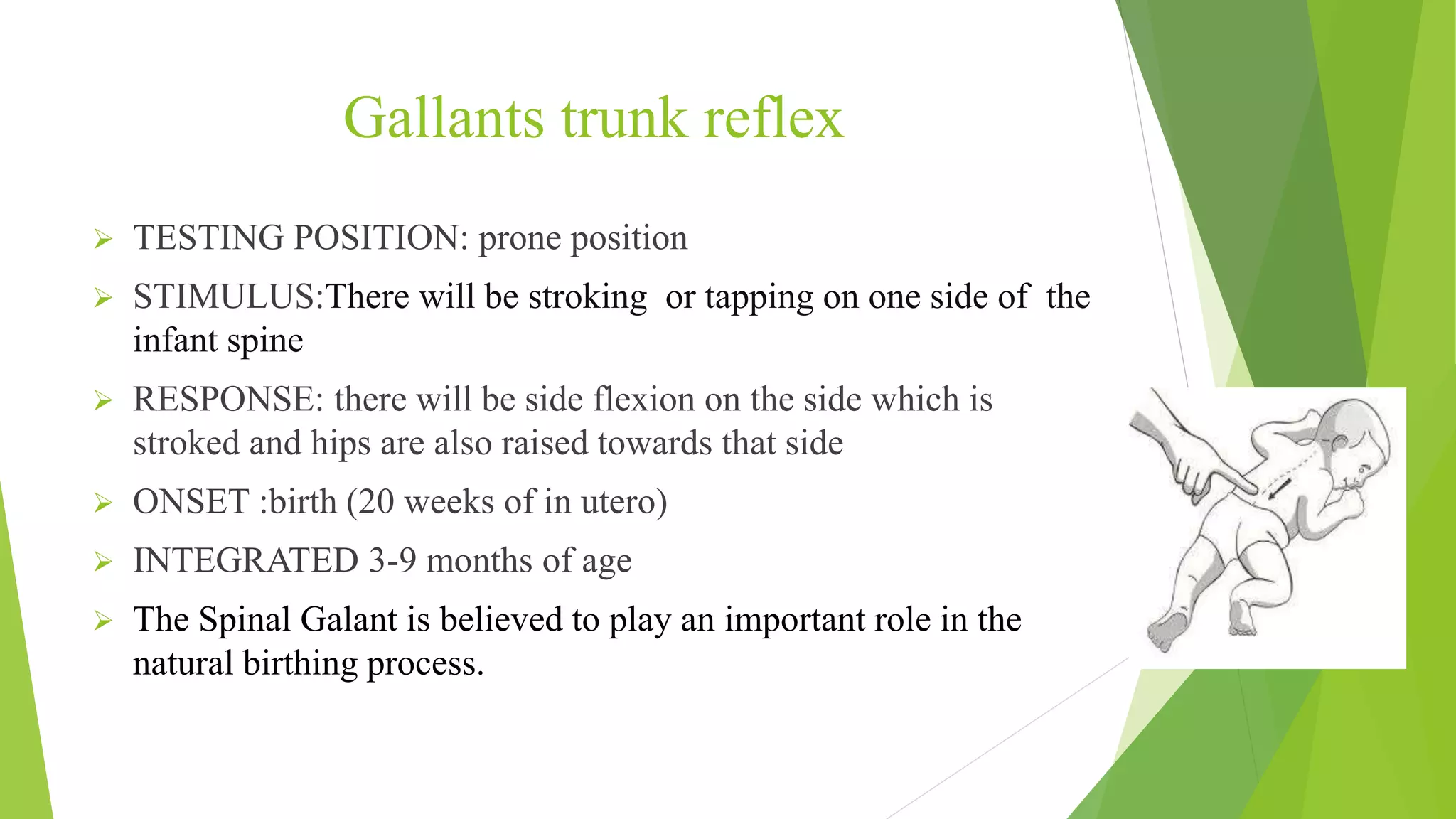 Primitive Reflexes.pptx