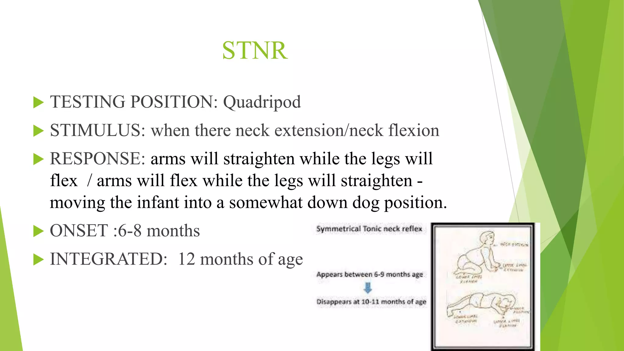 Primitive Reflexes.pptx