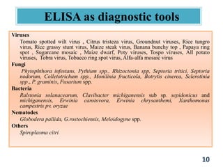 ELISA as diagnostic tools
Viruses
Tomato spotted wilt virus , Citrus tristeza virus, Groundnut viruses, Rice tungro
virus, Rice grassy stunt virus, Maize steak virus, Banana bunchy top , Papaya ring
spot , Sugarcane mosaic , Maize dwarf, Poty viruses, Tospo viruses, All potato
viruses, Tobra virus, Tobacco ring spot virus, Alfa-alfa mosaic virus
Fungi
Phytophthora infestans, Pythium spp., Rhizoctonia spp, Septoria tritici, Septoria
nodorum, Colletotrichum spp., Monilinia fructicola, Botrytis cinerea, Sclerotinia
spp., P. graminis, Fusarium spp.
Bacteria
Ralstonia solanacearum, Clavibacter michiganensis sub sp. sepidonicus and
michiganensis, Erwinia carotovora, Erwinia chrysanthemi, Xanthomonas
campestris pv. oryzae
Nematodes
Globodera pallida, G.rostochiensis, Meloidogyne spp.
Others
Spiroplasma citri
10
 