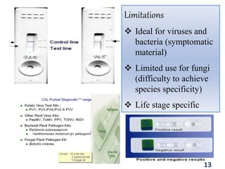 Limitations
 Ideal for viruses and
bacteria (symptomatic
material)
 Limited use for fungi
(difficulty to achieve
species specificity)
 Life stage specific
13
 