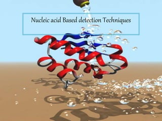 Nucleic acid Based detection Techniques
 