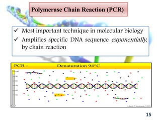 Polymerase Chain Reaction (PCR)
 Most important technique in molecular biology
 Amplifies specific DNA sequence exponentially,
by chain reaction
15
 