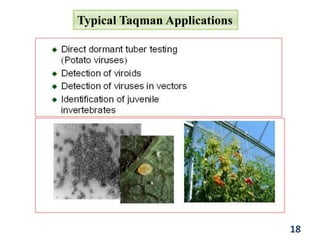 Typical Taqman Applications
18
 