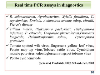 Real time PCR assays in diagnostics
 R. solanacearum, Agrobacterium, Xylella fastidiosa, C.
sepedonicus, Erwinia, Acidovorax avenae subsp. citrulli,
Pierce’s disease
 Tilletia indica, Phakospora pachyrhizi, Phytophthora
infestans, P. citricola, Diaporthe phaseolorum,Phomosis
longicola, Helmintosporium solani, Pyrenophora
graminea
 Tomato spotted wilt virus, Sugarcane yellow leaf virus,
Potato mop-top virus,Tobacco rattle virus, Cymbidium
mosaic potyvirus, odontoglossum ringspot tobamo virus
 Potato cyst nematode
(Schaad & Frederick, 2002, Schaad et al., 2003
20
 