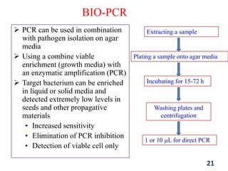  PCR can be used in combination
with pathogen isolation on agar
media
 Using a combine viable
enrichment (growth media) with
an enzymatic amplification (PCR)
 Target bacterium can be enriched
in liquid or solid media and
detected extremely low levels in
seeds and other propagative
materials
• Increased sensitivity
• Elimination of PCR inhibition
• Detection of viable cell only
BIO-PCR
21
Extracting a sample
Plating a sample onto agar media
Incubating for 15-72 h
Washing plates and
centrifugation
1 or 10 µL for direct PCR
 