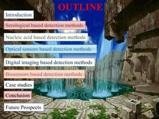 OUTLINE
Introduction
Serological based detection methods
Nucleic acid based detection methods
Optical sensors based detection methods
Digital imaging based detection methods
Biosensors based detection methods
3
Case studies
Conclusion
Future Prospects
 