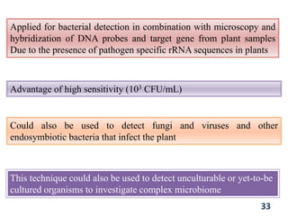 Applied for bacterial detection in combination with microscopy and
hybridization of DNA probes and target gene from plant samples
Due to the presence of pathogen specific rRNA sequences in plants
Advantage of high sensitivity (103 CFU/mL)
Could also be used to detect fungi and viruses and other
endosymbiotic bacteria that infect the plant
33
This technique could also be used to detect unculturable or yet-to-be
cultured organisms to investigate complex microbiome
 