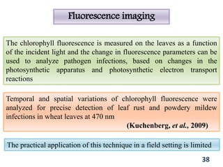 Fluorescence imaging
The chlorophyll fluorescence is measured on the leaves as a function
of the incident light and the change in fluorescence parameters can be
used to analyze pathogen infections, based on changes in the
photosynthetic apparatus and photosynthetic electron transport
reactions
Temporal and spatial variations of chlorophyll fluorescence were
analyzed for precise detection of leaf rust and powdery mildew
infections in wheat leaves at 470 nm
(Kuchenberg, et al., 2009)
38
The practical application of this technique in a field setting is limited
 