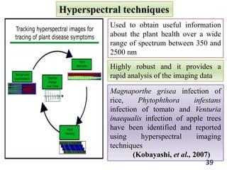 Hyperspectral techniques
Used to obtain useful information
about the plant health over a wide
range of spectrum between 350 and
2500 nm
Highly robust and it provides a
rapid analysis of the imaging data
Magnaporthe grisea infection of
rice, Phytophthora infestans
infection of tomato and Venturia
inaequalis infection of apple trees
have been identified and reported
using hyperspectral imaging
techniques
(Kobayashi, et al., 2007)
39
 