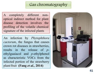 Gas chromatography
A completely different non-
optical indirect method for plant
disease detection involves the
profiling of the volatile chemical
signature of the infected plants
An infection by Phytophthora
cactorum, the fungus that causes
crown rot diseases in strawberries,
results in the release of p-
ethylguaiacol and p-ethylphenol
as characteristic VOCs from the
infected portion of the strawberry
plant/fruit (Fang et al., 2014)
41
 