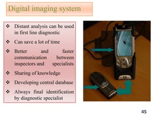 Digital imaging system
 Distant analysis can be used
in first line diagnostic
 Can save a lot of time
 Better and faster
communication between
inspectors and specialists
 Sharing of knowledge
 Developing central database
 Always final identification
by diagnostic specialist
45
 