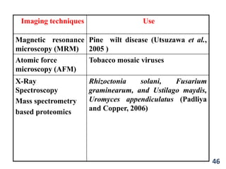 Imaging techniques Use
Magnetic resonance
microscopy (MRM)
Pine wilt disease (Utsuzawa et al.,
2005 )
Atomic force
microscopy (AFM)
Tobacco mosaic viruses
X-Ray
Spectroscopy
Mass spectrometry
based proteomics
Rhizoctonia solani, Fusarium
graminearum, and Ustilago maydis,
Uromyces appendiculatus (Padliya
and Copper, 2006)
46
 