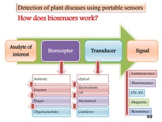 49
How does biosensors work?
Analyte of
interest
Biorecepter Transducer Signal
Detection of plant diseases using portable sensors
Antibody
Enzymes
Phages
Oligonucleotides
Optical
Electrochemi
cal
Mechanical
Cantilever
Luminescence
Fluorescence
UV-VS
Magnetic
Resonance
 