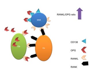 Stam Cell Niche