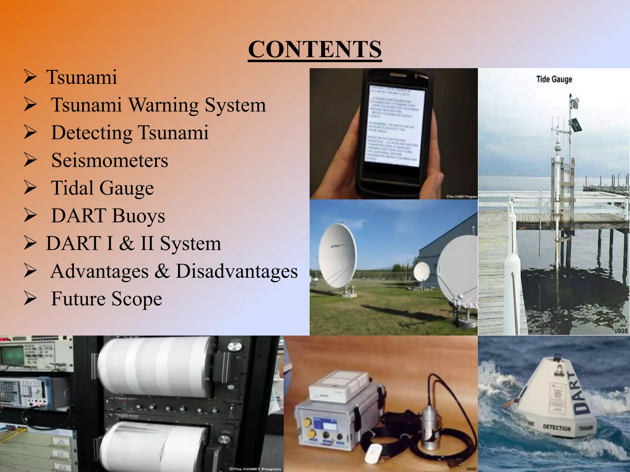 What does a tsunami warning system look like