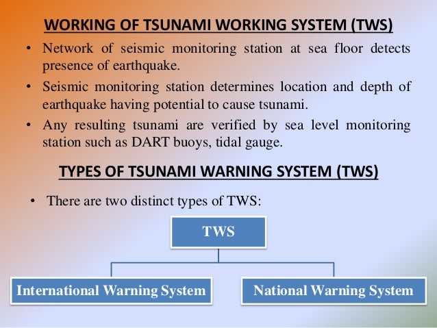 Tsunami Warning System