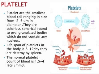 Seminar on anemia pregnancy | PPTX